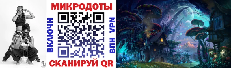 kraken ССЫЛКА сколько стоит Полярный Псилоцибиновые грибы GOLDEN TEACHER