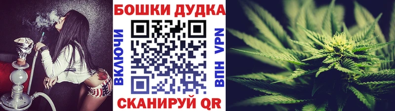 Бошки марихуана марихуана  где продают наркотики  Полярный 